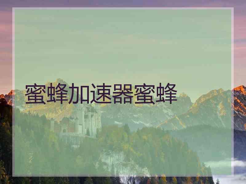 蜜蜂加速器蜜蜂