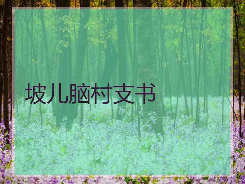 坡儿脑村支书