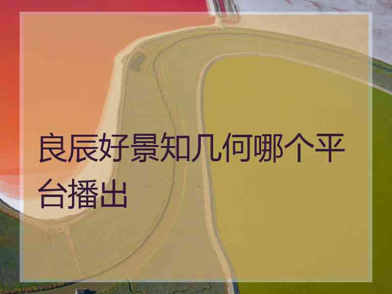 良辰好景知几何哪个平台播出