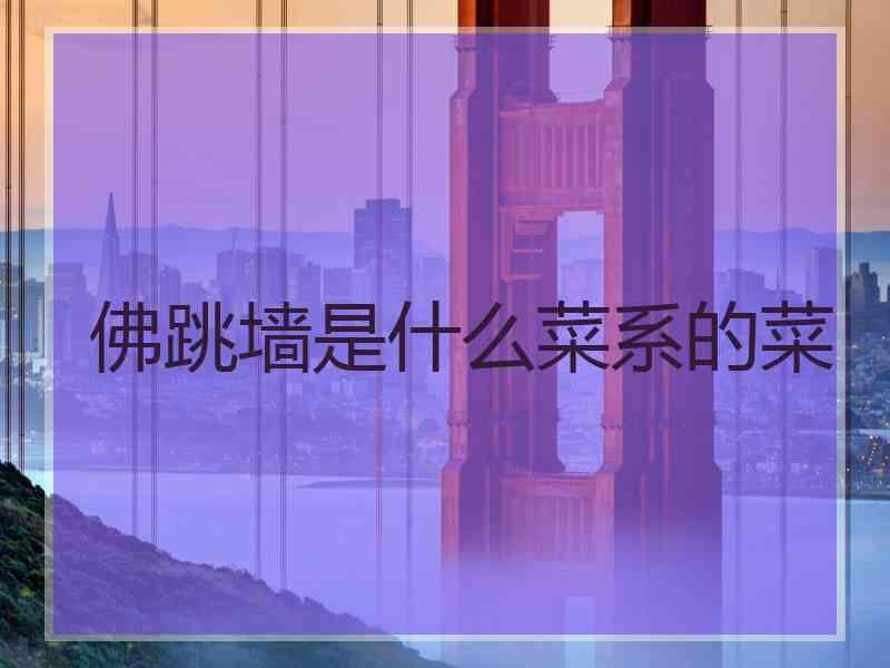 佛跳墙是什么菜系的菜