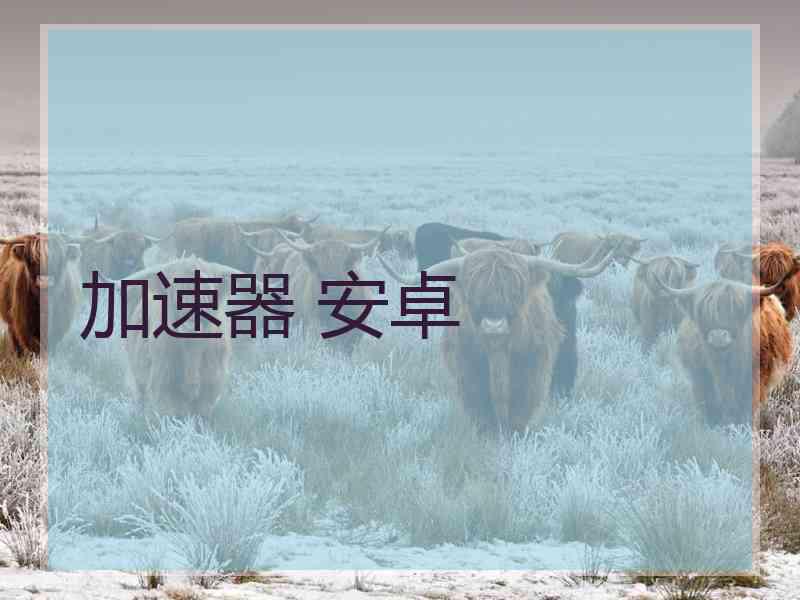 加速器 安卓