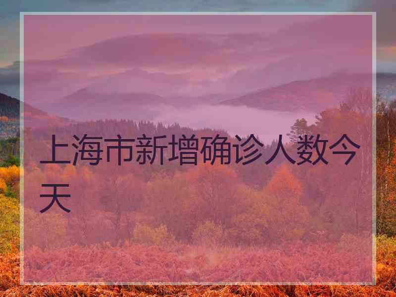 上海市新增确诊人数今天