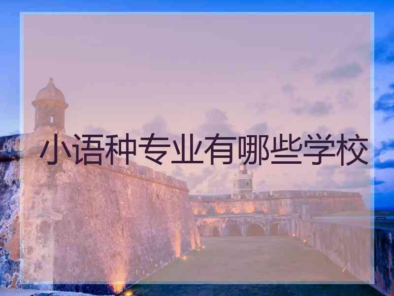小语种专业有哪些学校