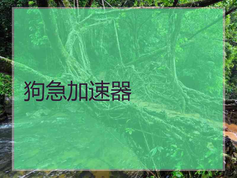狗急加速器