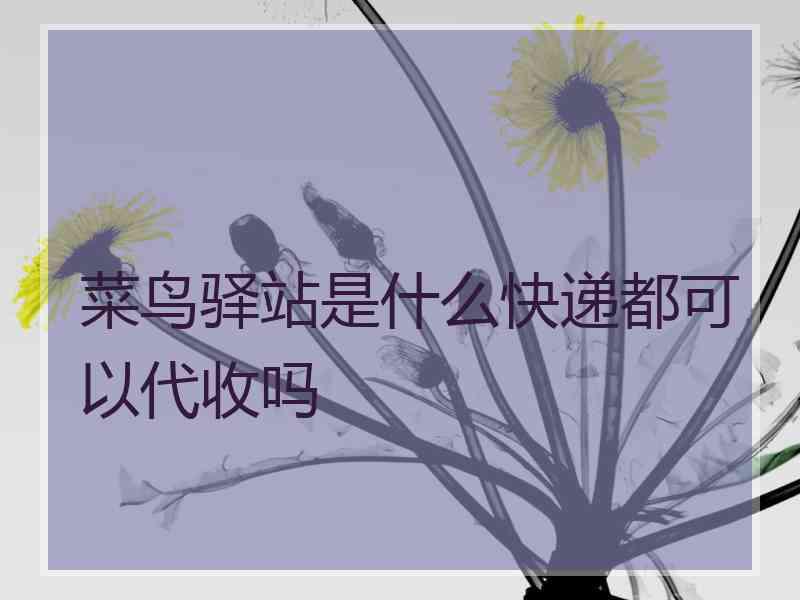 菜鸟驿站是什么快递都可以代收吗