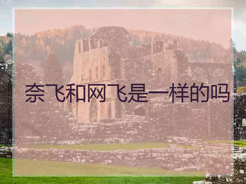 奈飞和网飞是一样的吗