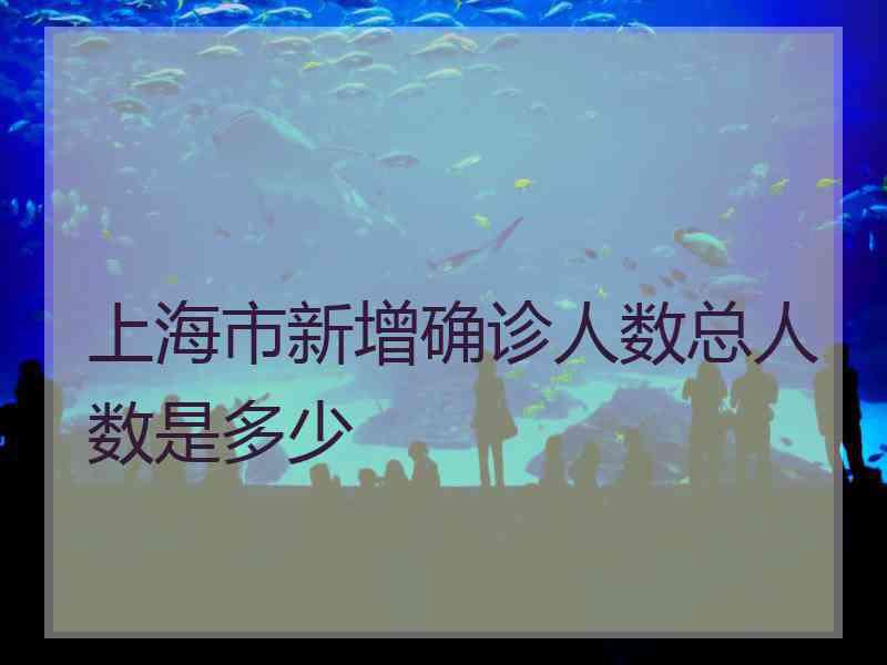上海市新增确诊人数总人数是多少