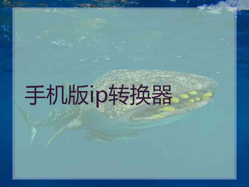 手机版ip转换器