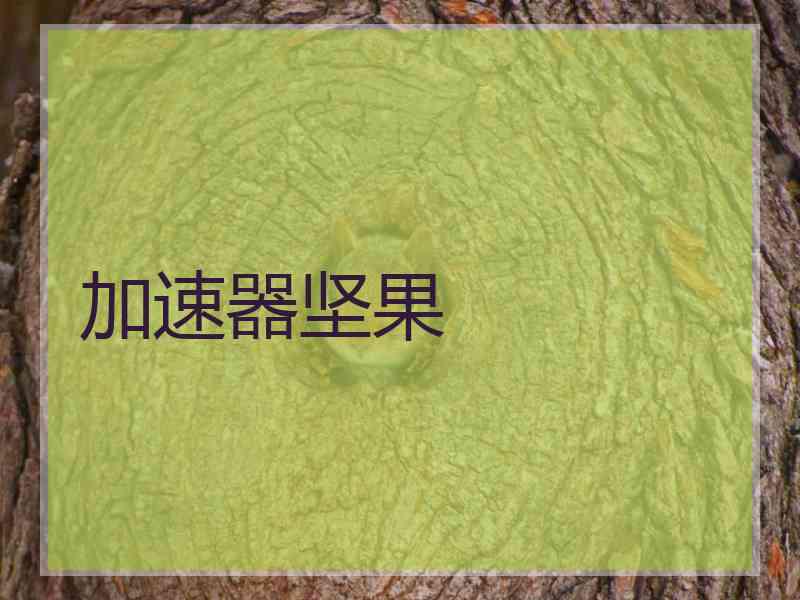 加速器坚果