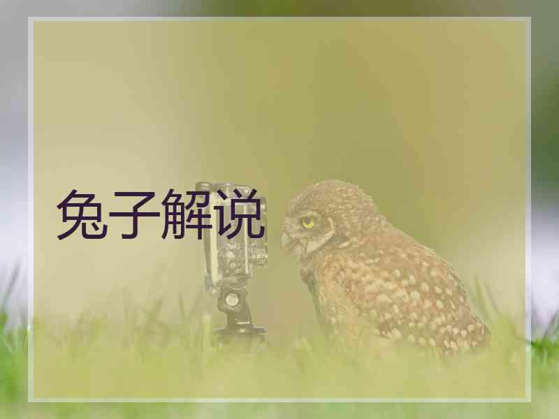 兔子解说