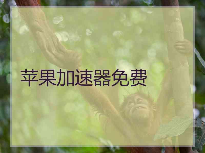 苹果加速器免费