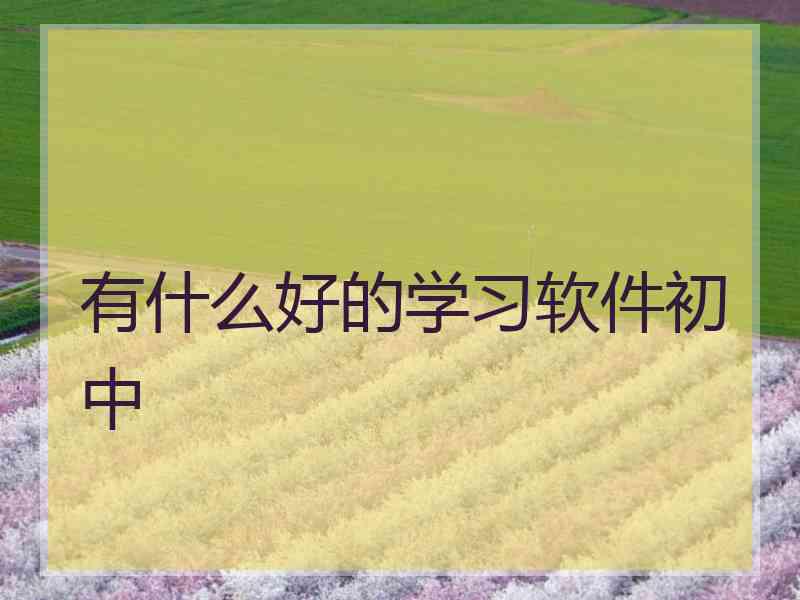 有什么好的学习软件初中