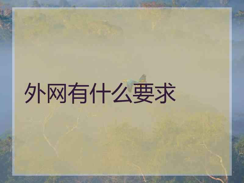 外网有什么要求