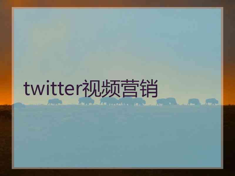 twitter视频营销