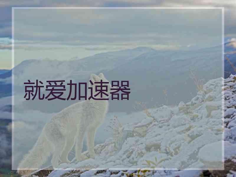 就爱加速器