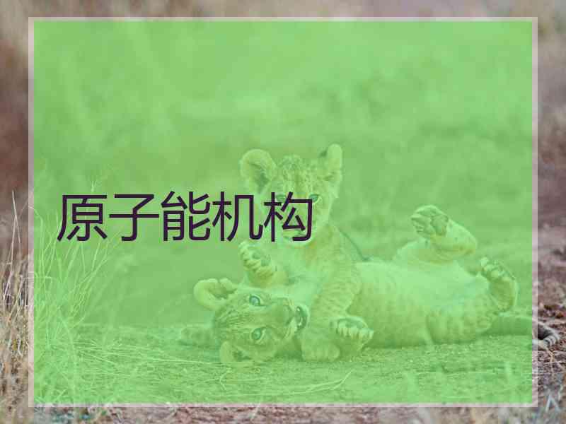 原子能机构