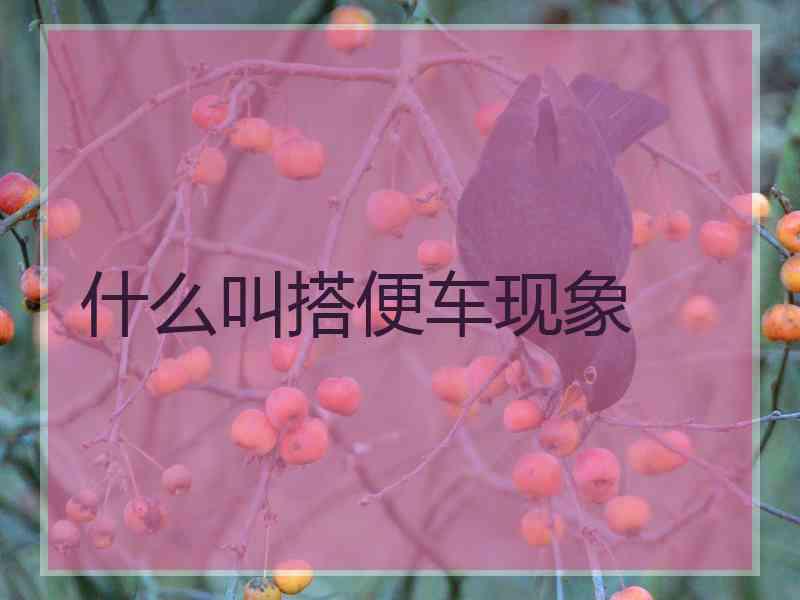 什么叫搭便车现象