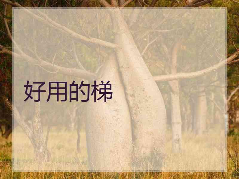 好用的梯