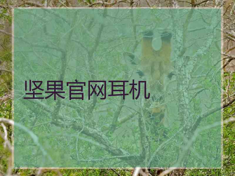 坚果官网耳机