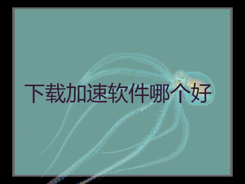 下载加速软件哪个好