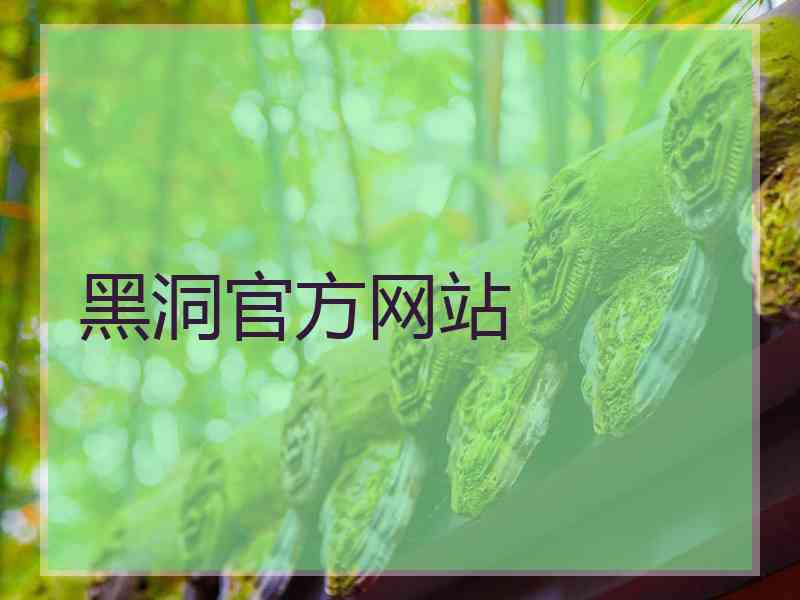 黑洞官方网站