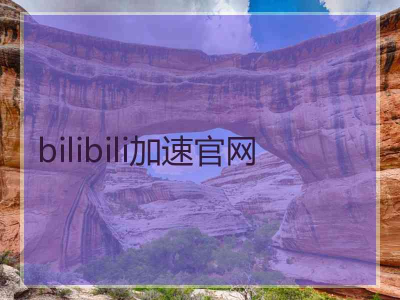 bilibili加速官网