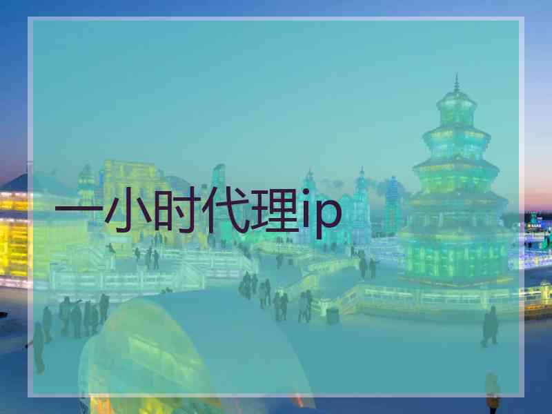 一小时代理ip