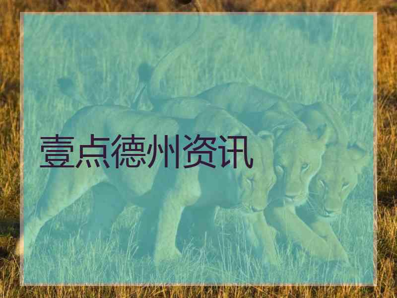 壹点德州资讯