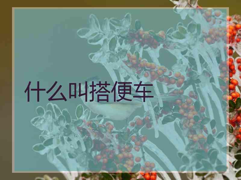 什么叫搭便车
