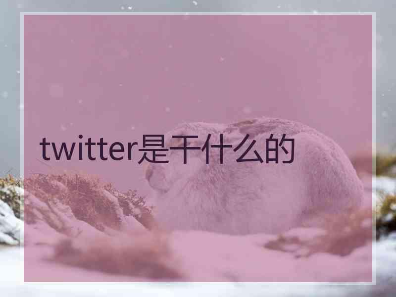 twitter是干什么的