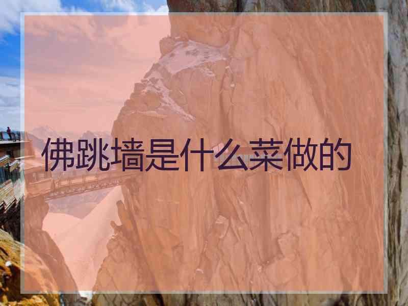 佛跳墙是什么菜做的