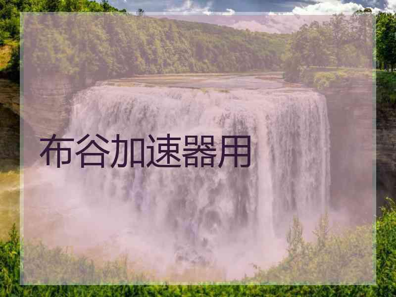 布谷加速器用