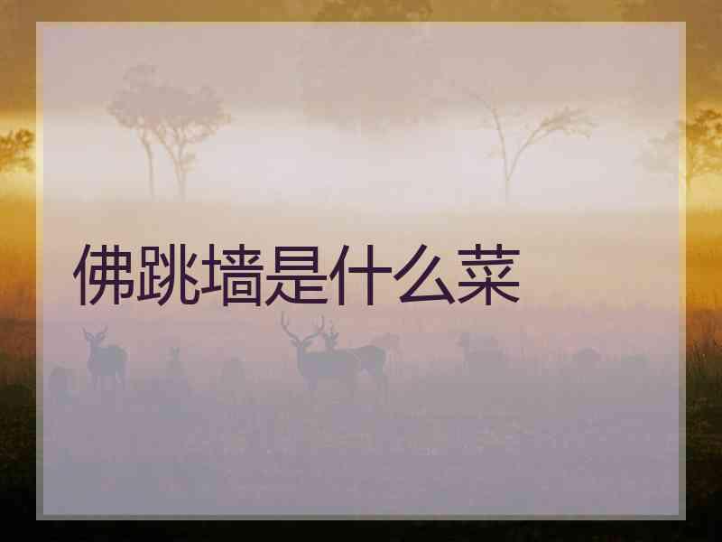 佛跳墙是什么菜