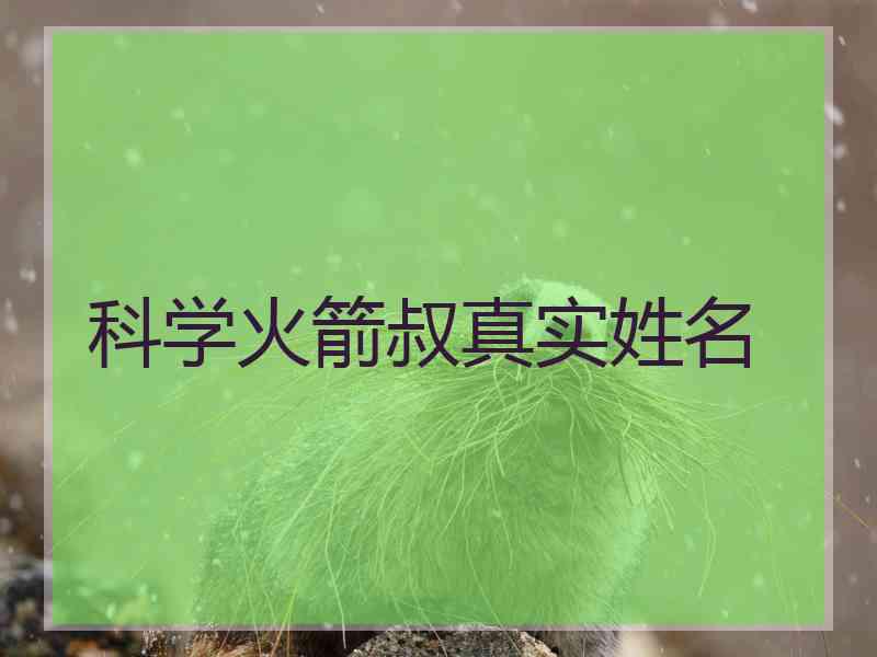科学火箭叔真实姓名