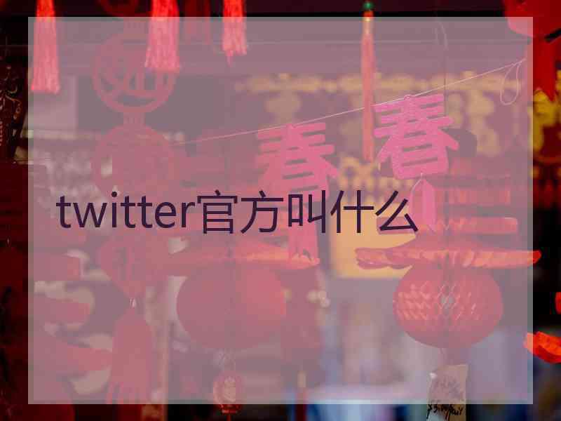 twitter官方叫什么