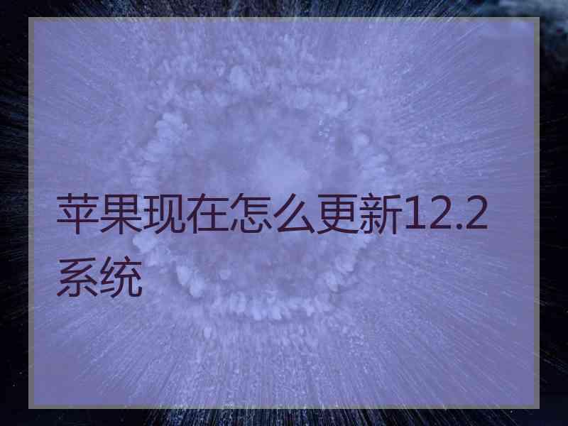 苹果现在怎么更新12.2系统