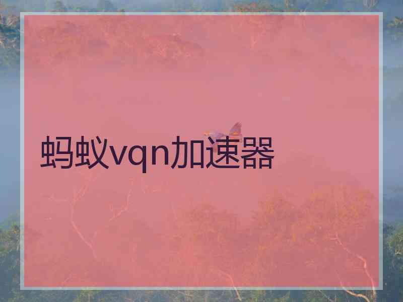 蚂蚁vqn加速器