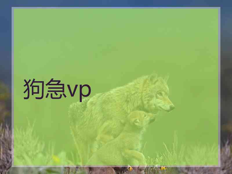 狗急vp