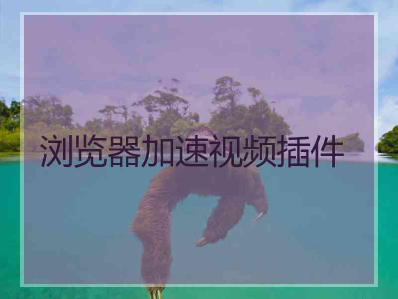 浏览器加速视频插件