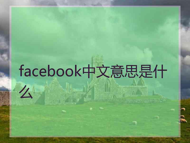 facebook中文意思是什么
