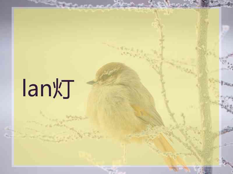lan灯