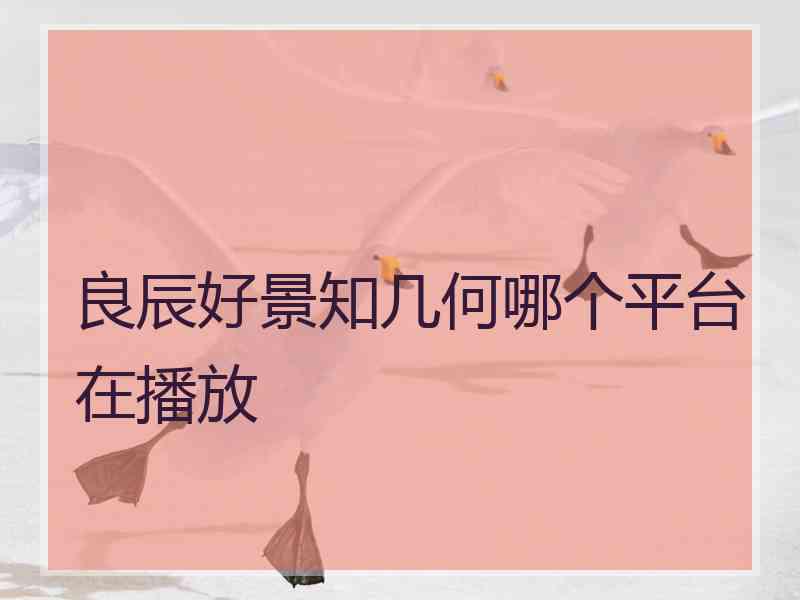 良辰好景知几何哪个平台在播放