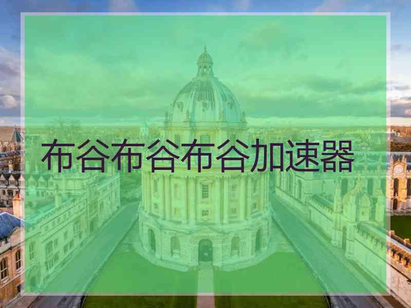布谷布谷布谷加速器