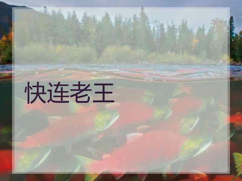 快连老王