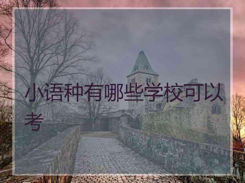 小语种有哪些学校可以考