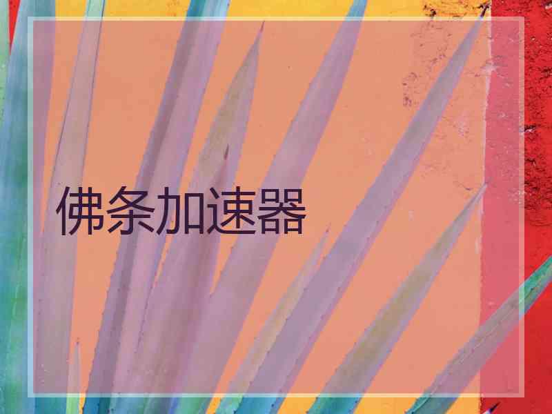佛条加速器