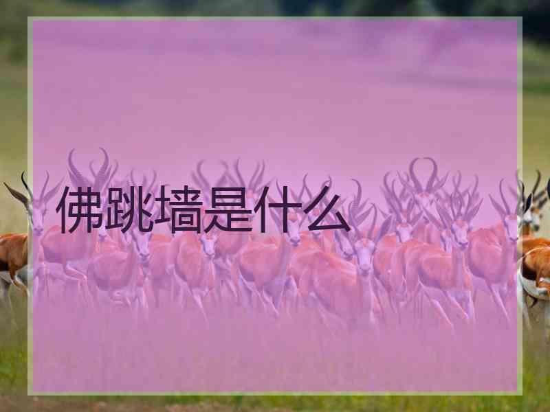 佛跳墙是什么