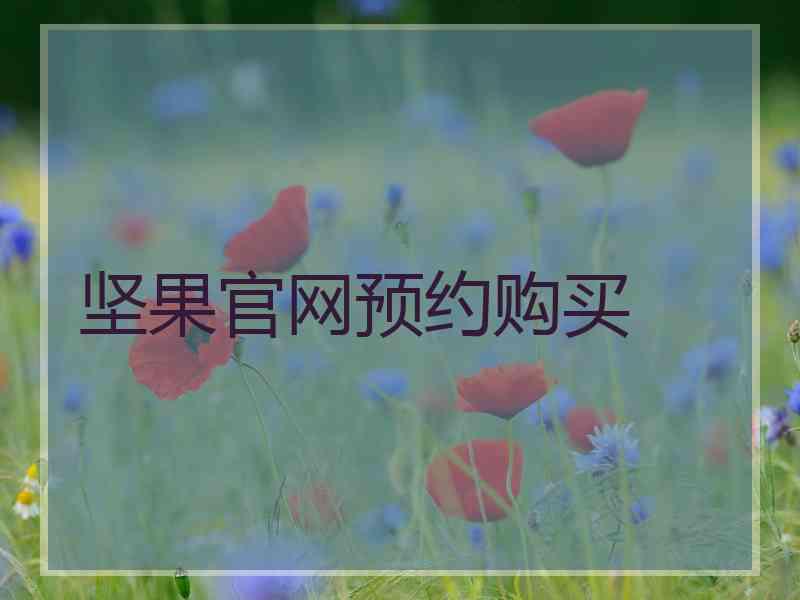 坚果官网预约购买