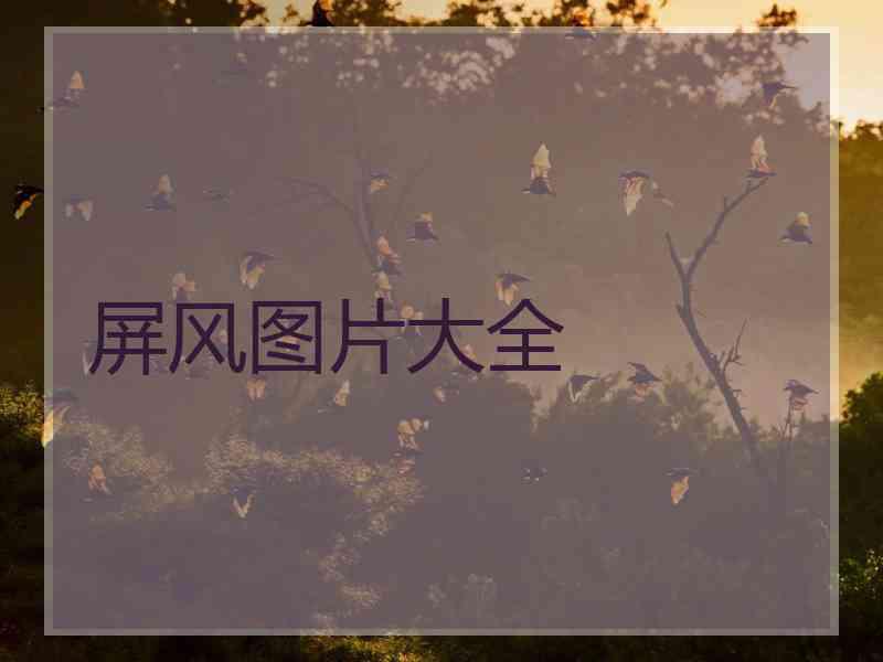 屏风图片大全