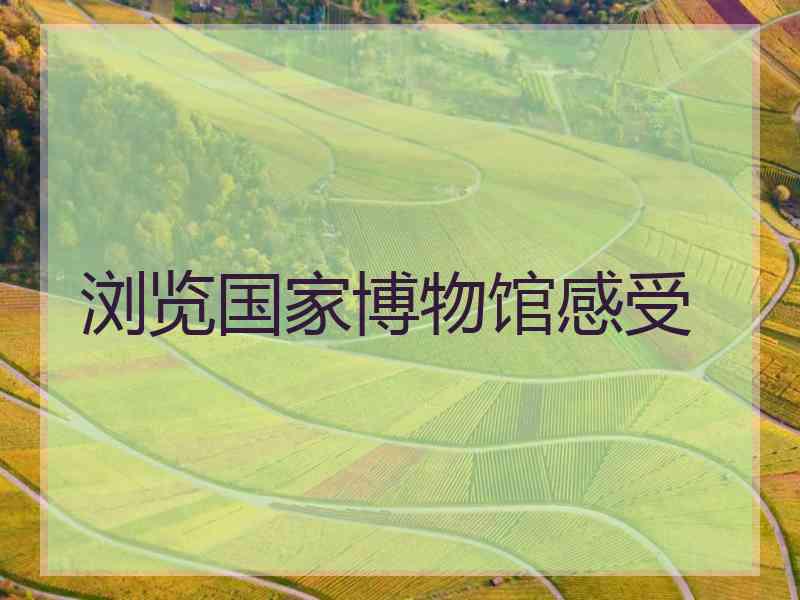 浏览国家博物馆感受